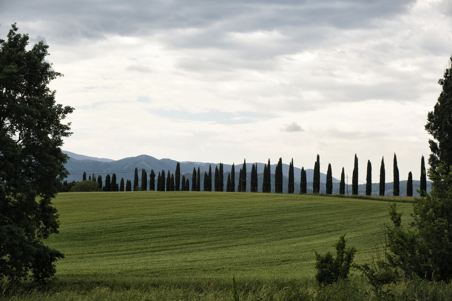 Esposizione a inquinanti