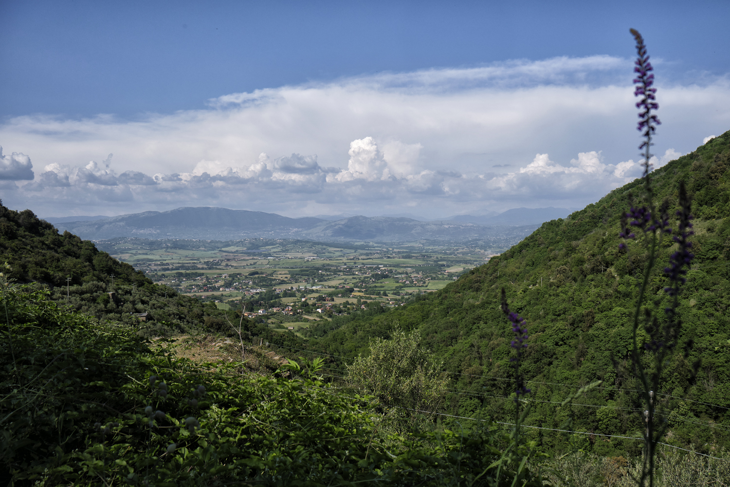 Stato di salute Valle del Sacco