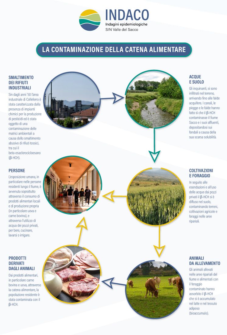 Contaminazione della catena alimentare